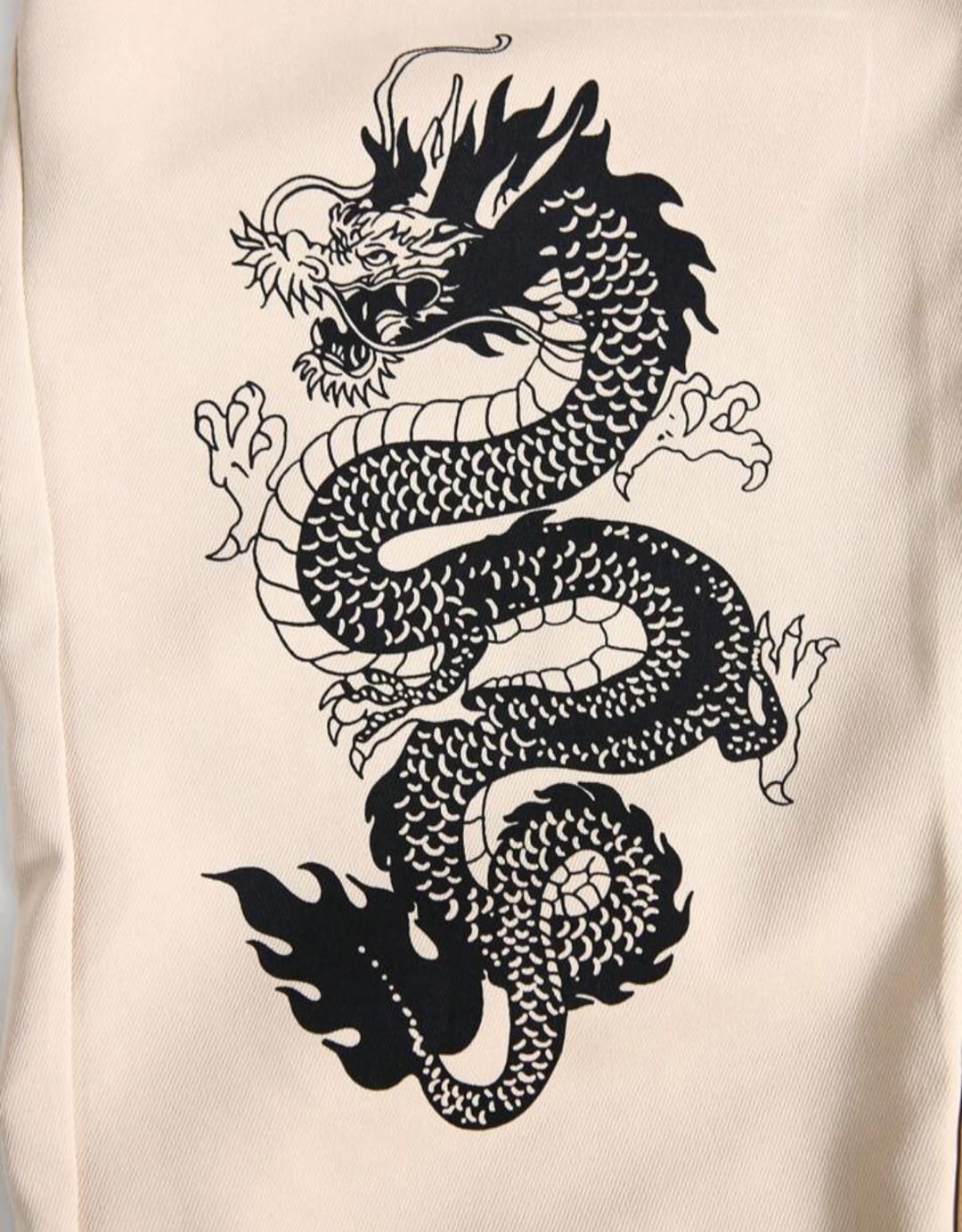 Men New Dragon Printed Double Pocket Cargo Pant / Trouser.
